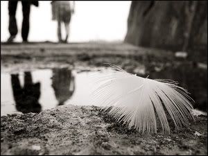 https://i137.photobucket.com/albums/q235/kietasvaikis/Our_story__our_poem_by_electrofreek.jpg