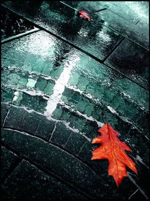 https://i137.photobucket.com/albums/q235/kietasvaikis/all_autumn___all_fall_by_saligia.jpg