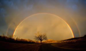 https://i137.photobucket.com/albums/q235/kietasvaikis/beautiful_racinbow_by_wachieface.jpg