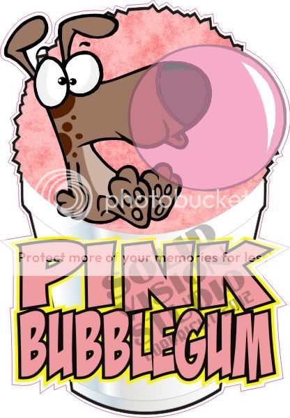 Pink Bubble Gum Italian Shave Shaved Ice Cream Concession Trailer 