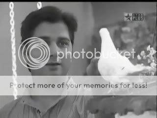 Danger (1132).jpg photo Danger1132.jpg